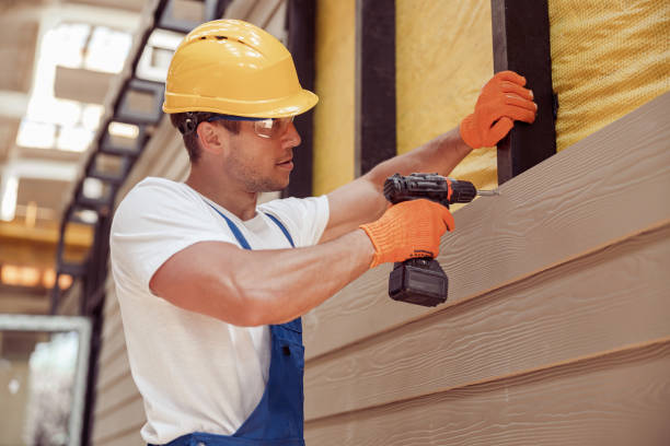 Best Siding Removal and Disposal  in Lake City, IA